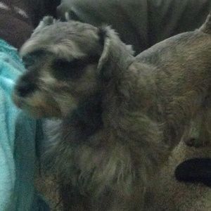 Meet your Posher, Armando